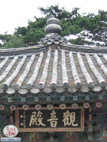 korea023