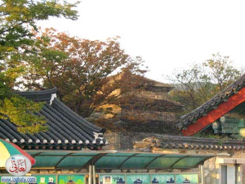 korea034
