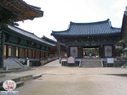 korea102