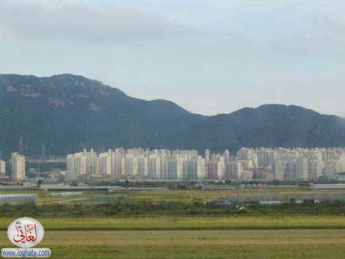 korea117