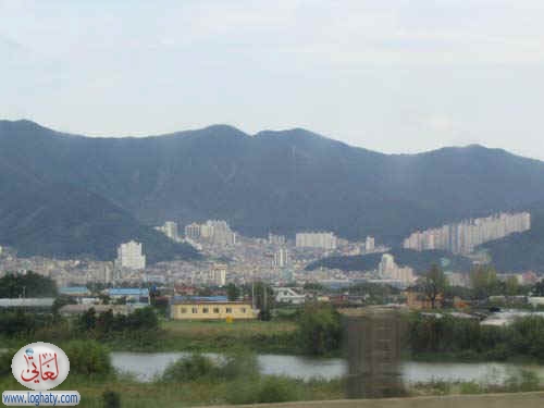 korea118