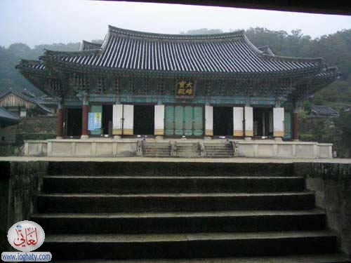 korea123