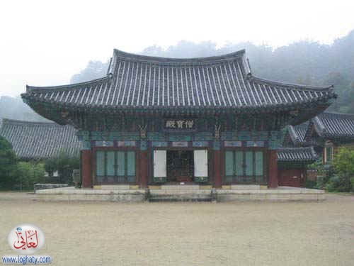 korea124
