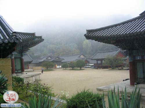 korea133