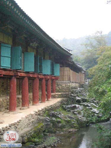korea143