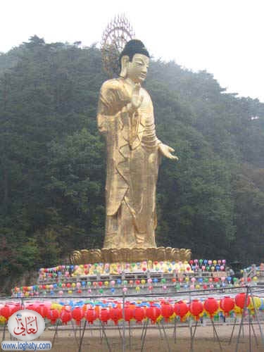 korea145