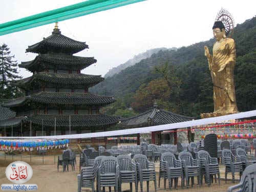 korea155