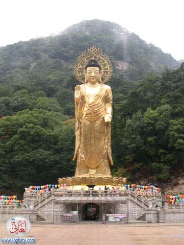 korea156