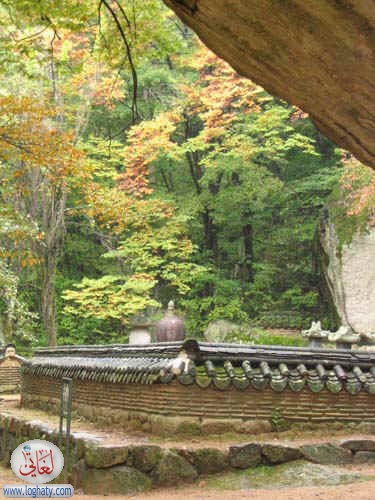korea163