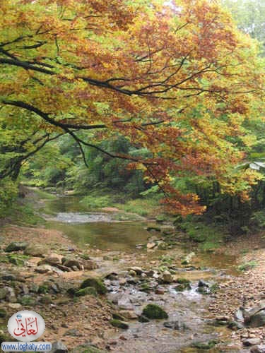 korea164