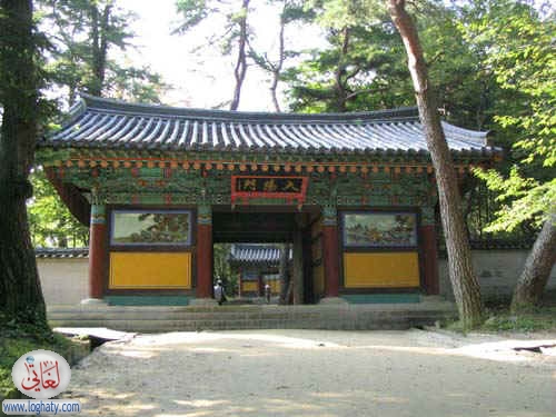 korea165