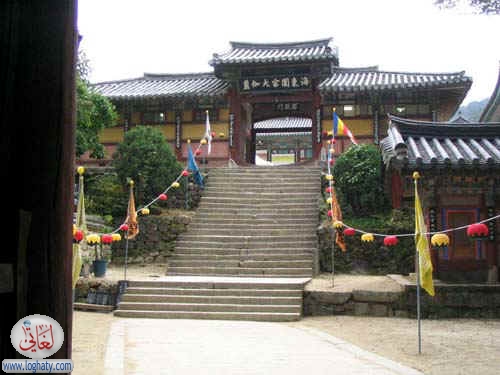 korea186