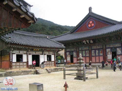 korea202