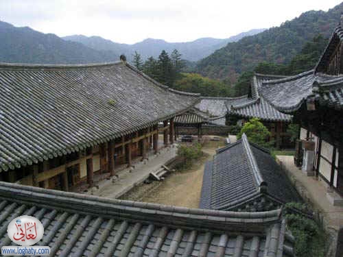 korea203