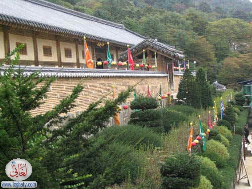 korea204