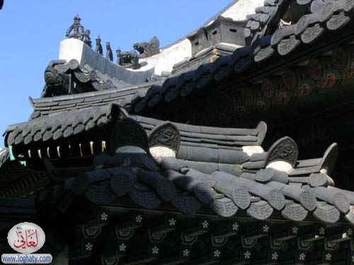 korea229