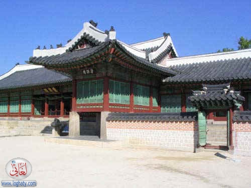 korea231