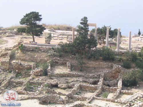 syria010