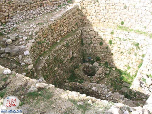 syria016