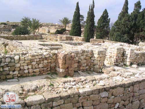 syria017