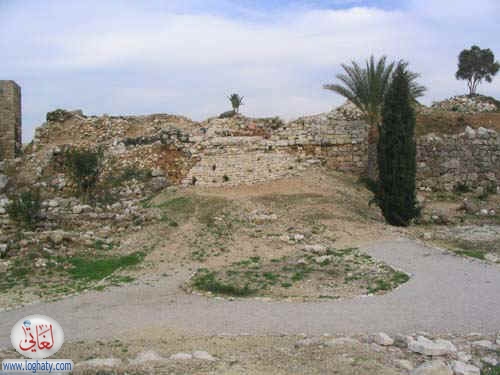 syria019