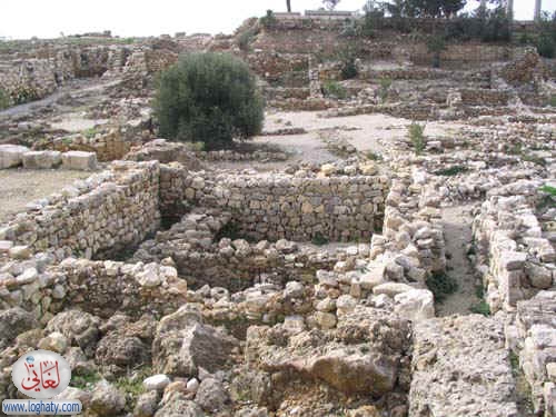 syria020