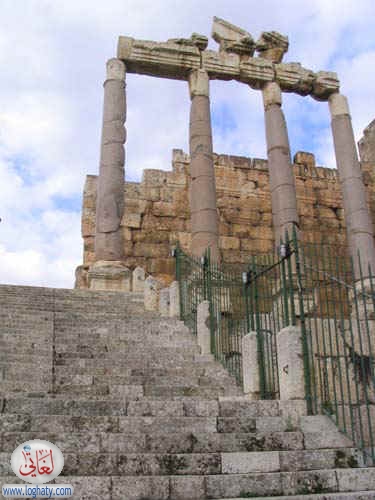 syria028