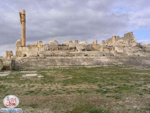 syria044