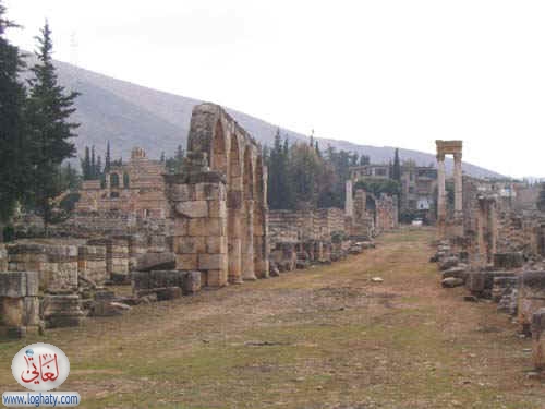 syria079