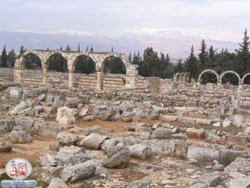 syria082