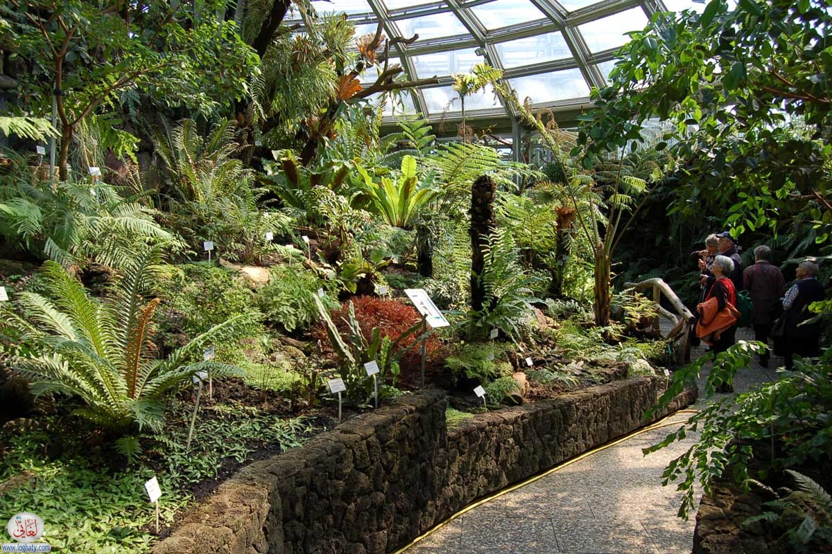 berlin-botanischer