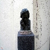bonn-ykq0