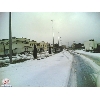 albaha2