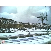 albaha4