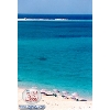 Marsa