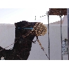 djerba-12