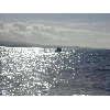 sun on water