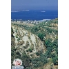 Banias