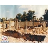 Qasreen1
