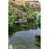 golan-pond