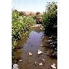 golan-stream