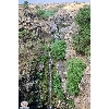 golan-waterfall 3 golan-waterfall 3