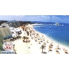 lattakia