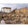 palmyra2