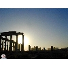 palymyra