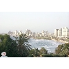 yafa2