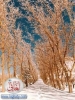 lebanon nature24