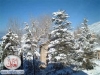 lebanon nature4