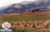 lebanon nature40