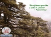lebanon nature7